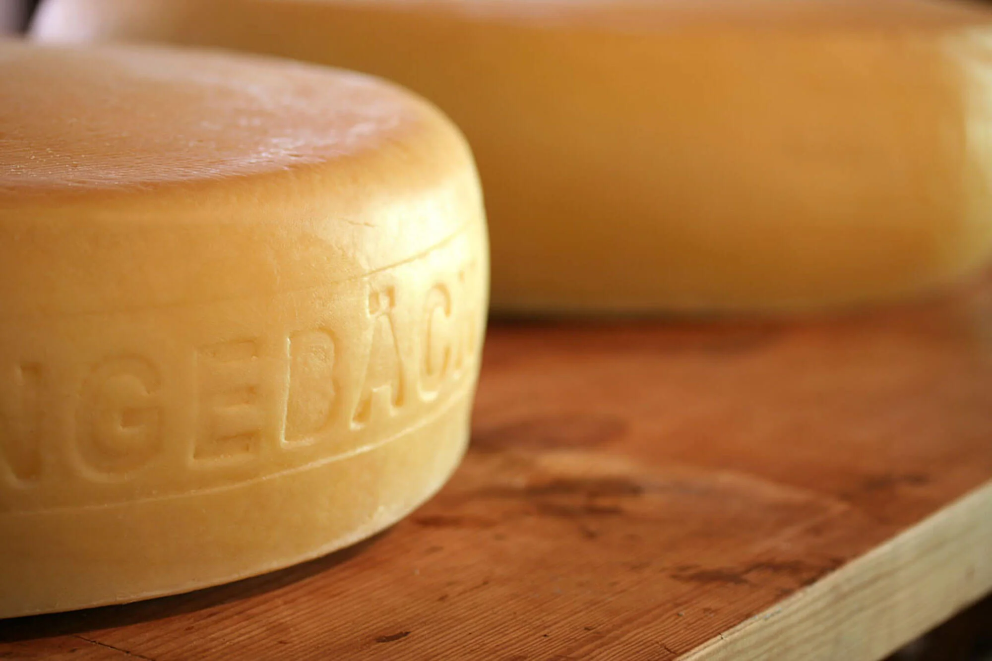 Wrangeback photo credit Jesper Anhede